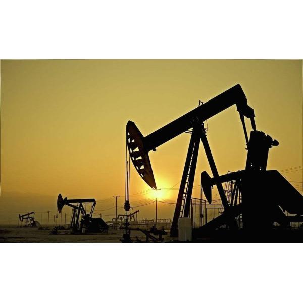 Fast Delivery Cationic Anionic Nonionic Polyacrylamide Flocculant CPAM Polymer for Sludge Dewatering