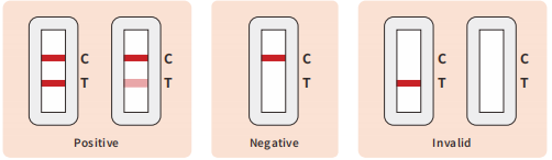 Plastic Covid 19 Rapid Test Kit Colloidal Gold Antigen Self Test Accuracy