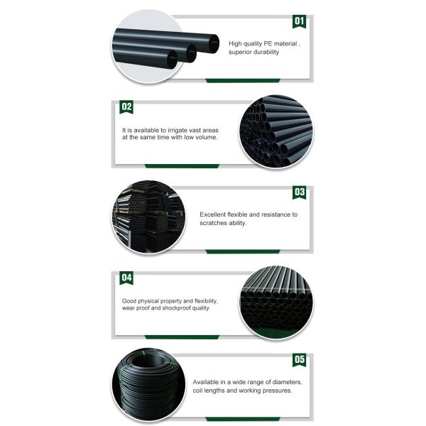 Upgrade Your Agriculture Irrigation System with Black PE Pipe and Core Components Pump