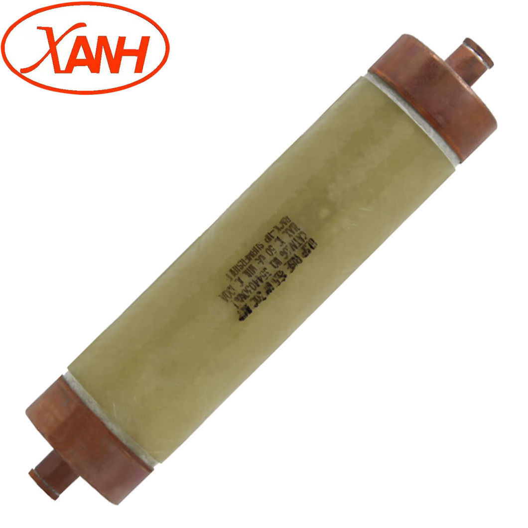 Bay-O-Net Tap Changer Switch Fuse for Oil Transformer Xrnt4-40.5/63