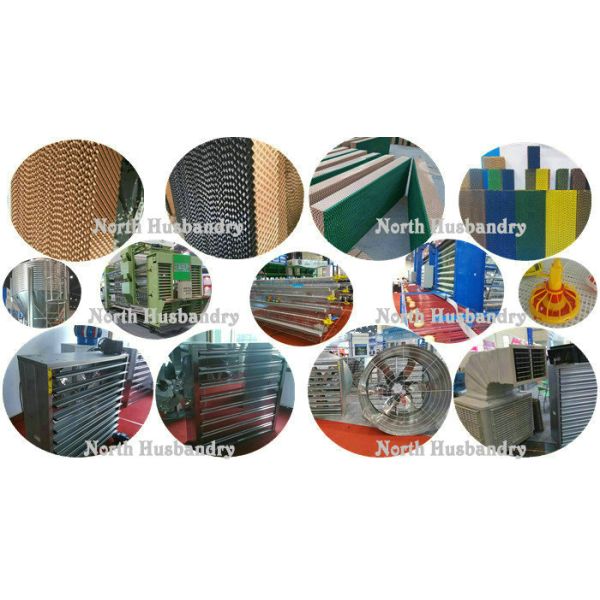 Thailand Bangkok Sell Poultry evaporative cooling pad cooling cellulose pad