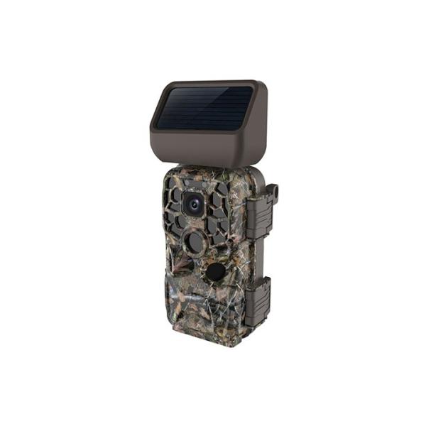 Quality IR LED Wireless Game Trail Cameras BT LCD Fast Trigger Time 2.4 Inches Deer Hunting for sale