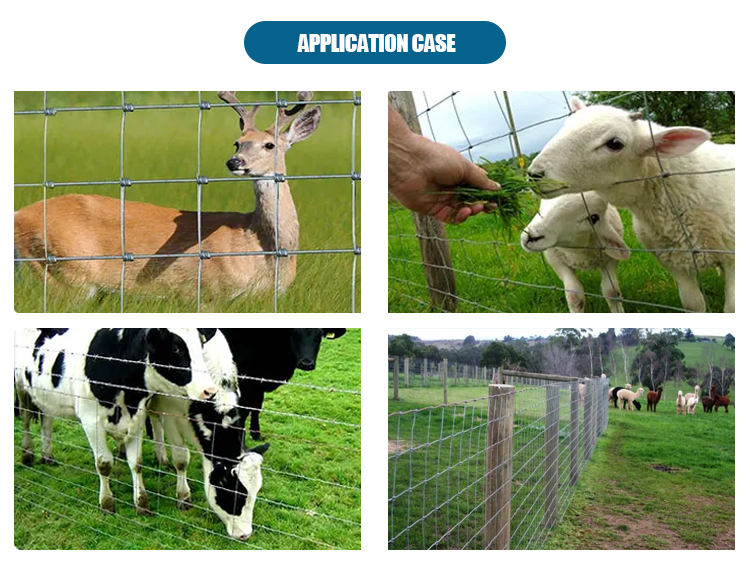 High Grade New Design 100M Long Gate Farm Field Fence Sheep Farm Cattle Panel Fencing Wire Cattle Fence