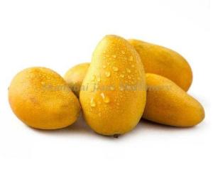China Aseptic Filling Mango Processing Machine With Brix 28-30% / 30-32% / 36-38% on sale