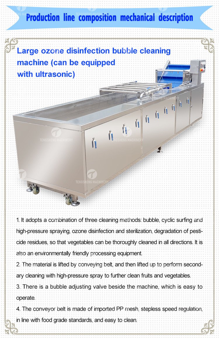Passion Fruit Bubble Cleaning And Drying Sorting Production Line