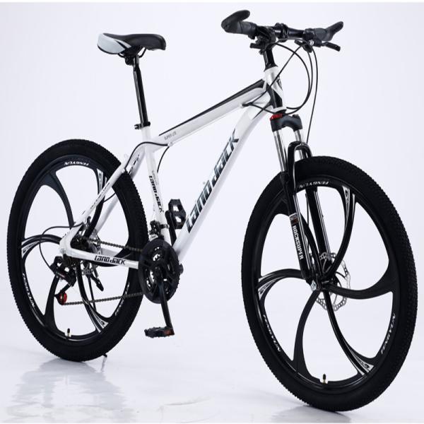 Quality Unfoldable Aluminum Frame Mountain Bike OEM Suspension Fork Speed Up for sale