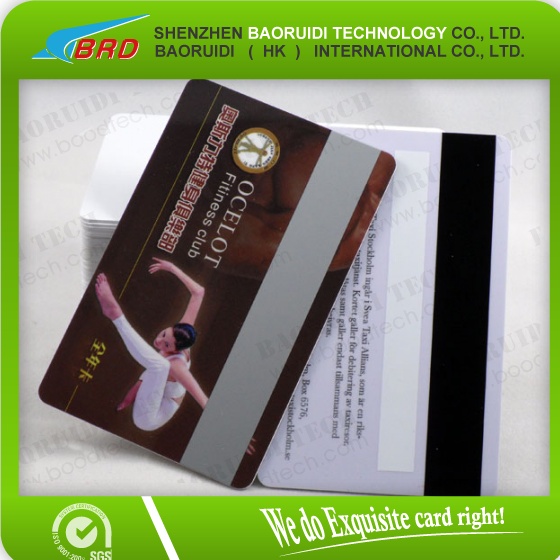 plastic/pvc loyalty card