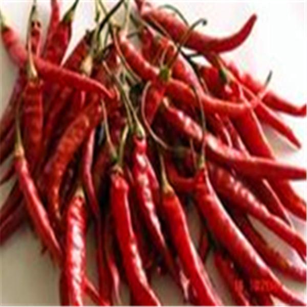 Quality No Pigment Erjingtiao Dried Chilis 16CM Red Stemmed Dehydrating 8000SHU for sale