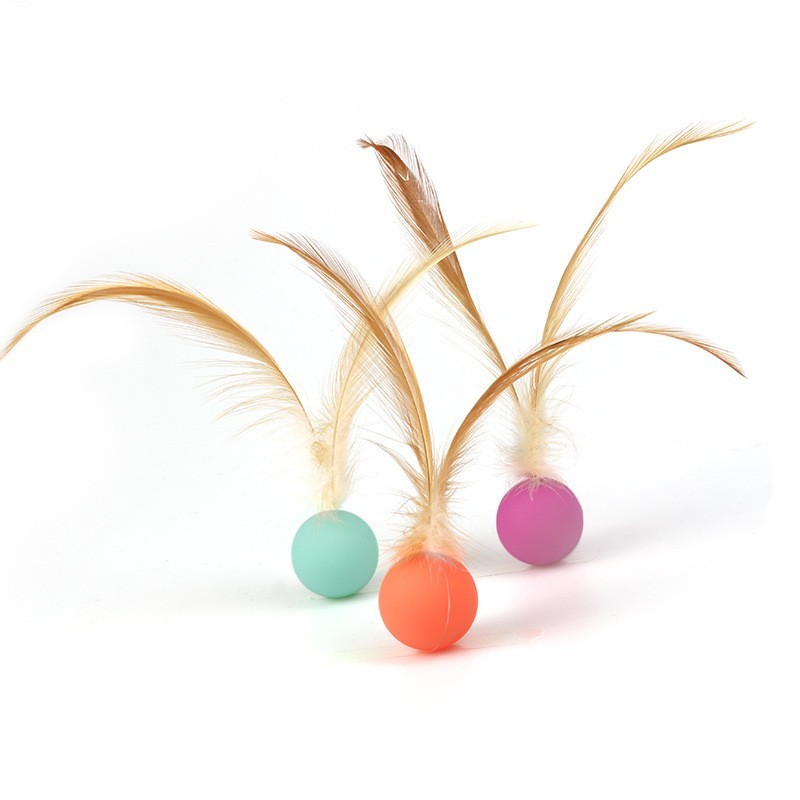 cat ball with feather