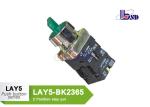 Professional Two Position Selector Switch Green Using As Indicating Signals