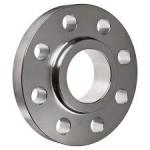 Anti-rust Painted Copper Nickel Flange with Threaded Connection and Bundle