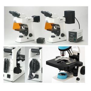 Buy cheap Smart High Precision Upright Fluorescence Microscope Infinity Plan Objective product