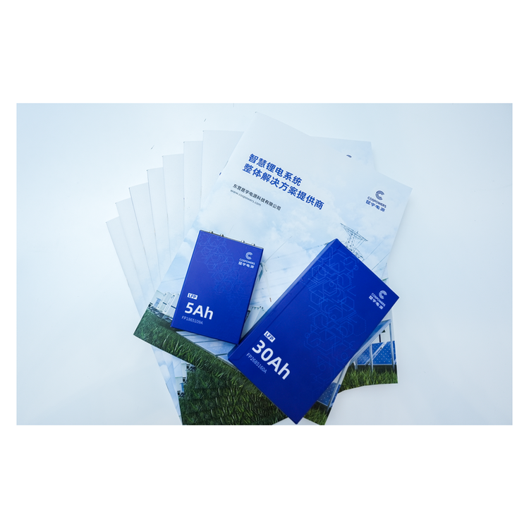 Rechargeable Lithium Polymer Battery 3.2v Lithium Ion Battery Cell Pack