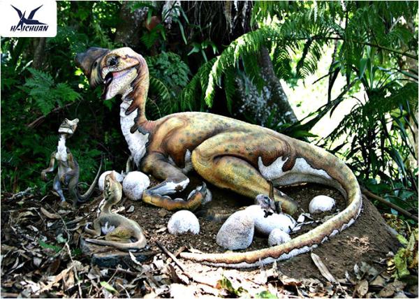 Quality Outdoor Moving Velociraptor Life Size Model For Garden Display / Festival Exhibition for sale