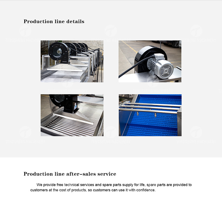 Customized Driven Pesticide Exclude Vegetable Processing Line , Centrifuging Tomato Processing Line