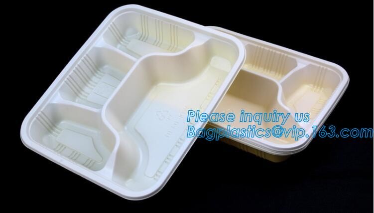 Blister large clear plastic fruit container with lid for fruit packaging,blister fruit box /container/ fruit Tray/ Clear