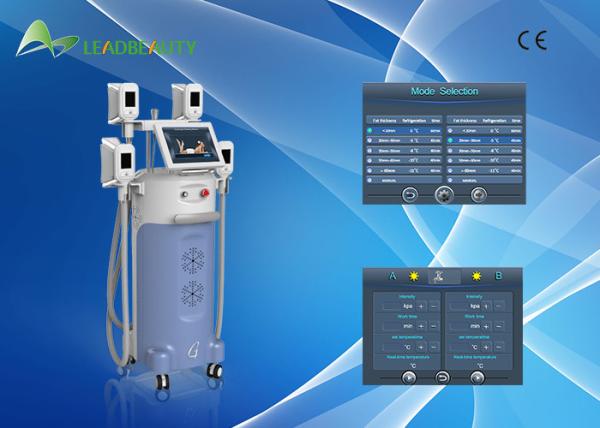Quality 2016 best cryolipolysi slim fat freezing machine cool slimming machine for sale