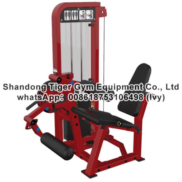 Quality Single Station Gym fitness equipment machine Seated Leg Extension and Curl exercise machine for sale