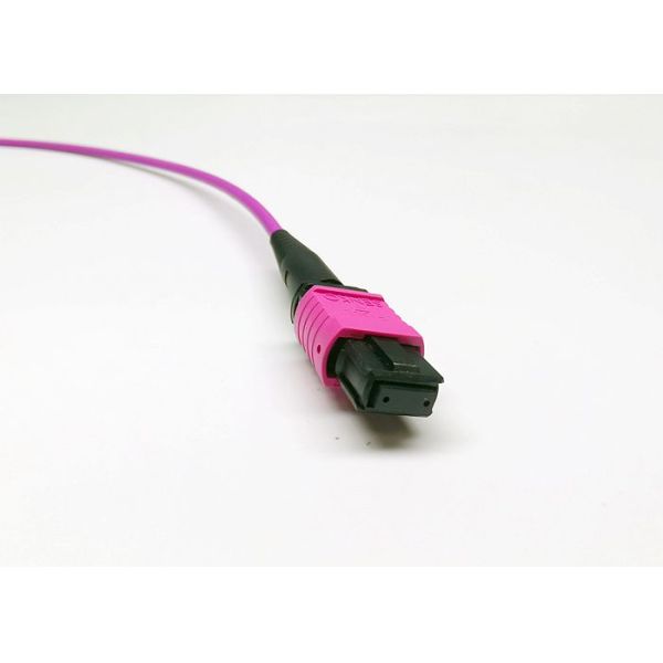 3.0mm Multimode OM4 MPO Fanout Cable For Data Center LSZH Material Violet Color