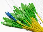 Splitter optic 1x16 plc, sc/upc input and sc/apc output