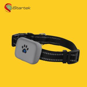 China 2020 new products indoor home personal chips pet dog collar mini gps tracker child tracking pendant on sale