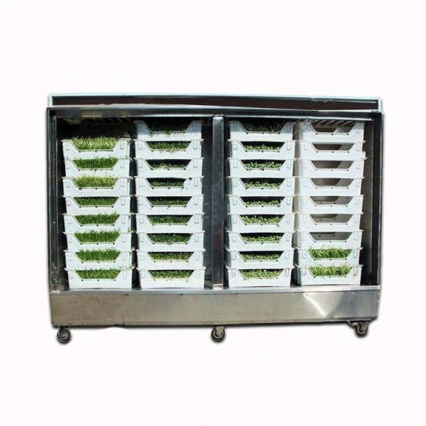 Quality Livestock Hydroponic Fodder Machine Barley Growing Automated Fodder System for sale
