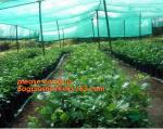 100% new HDPE insect mesh / anti bird net for apple trees,greenhouse anti insect