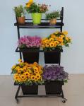 Mobile Flower Display 100kg Loading Capacity With Vases And Shelf