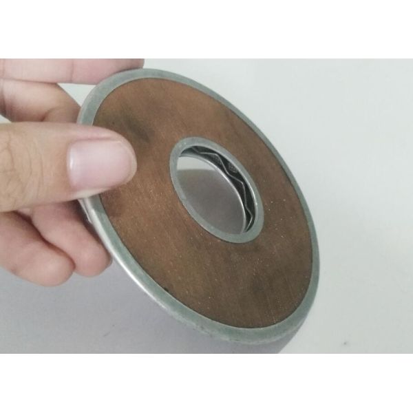 Double Stainless Steel Mesh Disc OD 155 Mm