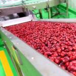 Factory Customized turn-key project full automatic hawthorn processing line