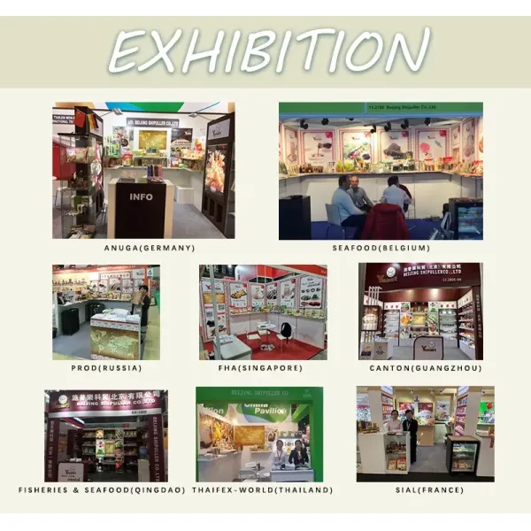 Chinese Mung Bean 200g Longkou Vermicelli Quick Cooking Noodle