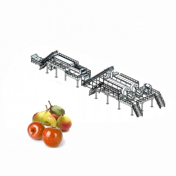 Quality CE Apple Processing Line with Automatic Disinfection Liquid Concentration Control System for sale