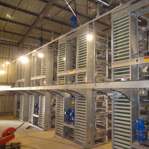 H Type Layer Chicken Laying Cage Automatic Poultry Equipment Hens Battery Cage For Layer Chicken