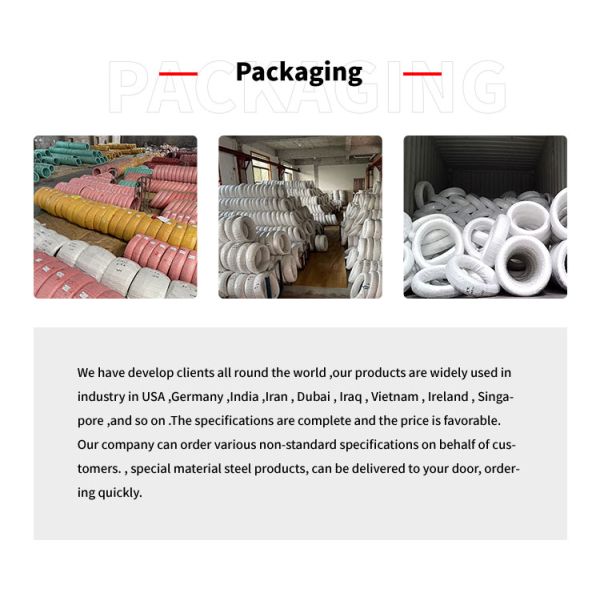 High Tensile 0.42Mm 0.5Mm 302 304 304l 309s 310s Fine Stainless Steel Stranded Wire