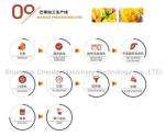 Compact Structure Mango Processing Line Paste Processing Line Plant