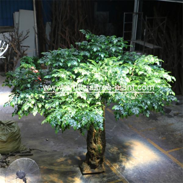 Quality Bodhi Leaves Artificial Ficus Religiosa Tree Fiberglass / Wood Material for sale