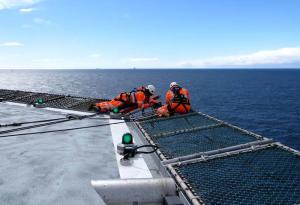 Buy cheap 316L SS Chain Link Helideck Safety Net High Tensile Strength product