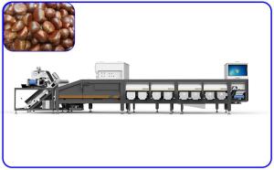 Buy cheap Intelligent Chestnut Grading Machine product