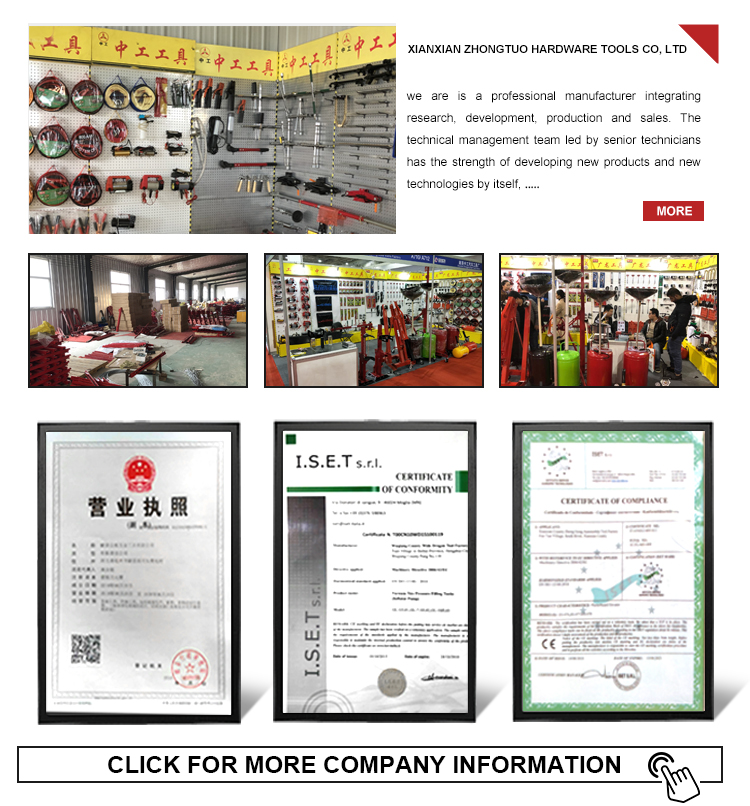 Portable 12V Electric Diesel Pump Oil Extractor