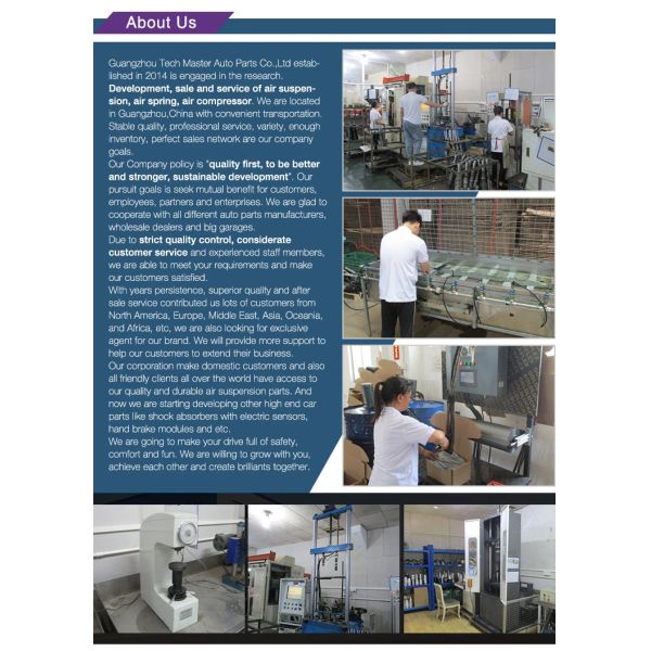 2203201813 Air Suspension Shock Absorber Benz CL / S - Class W220 W215 Car Accessory