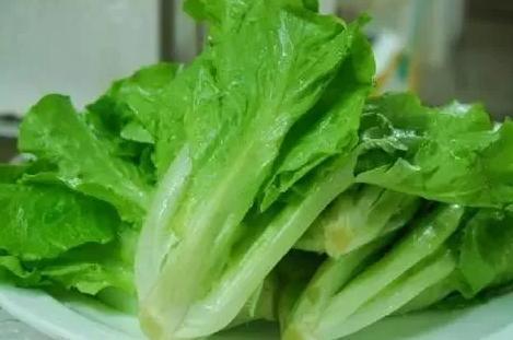 Shipping Container Leafy Vegetable Greenhouse