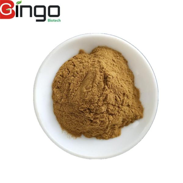 Quality High quality Nettle root Urtica dioca 1% Nettle extract/nettle herb extract as material for pharmaceuticals and health f for sale