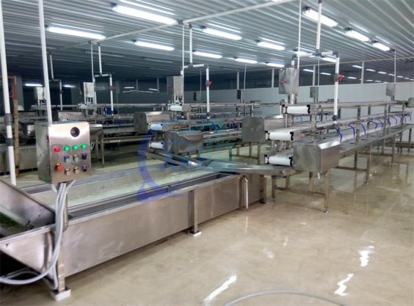 Quality 2.22KW SS Washing Machine For Fruit And Vegetable Processing Production Line Lettuce Cabbage Air Spray Washing Machine for sale