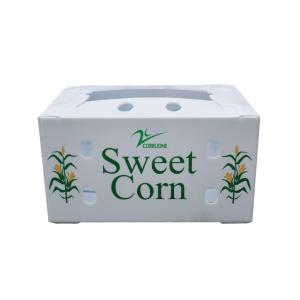 Corflute Recycled Fruit And Vegetable Packaging Boxes Polypropylene