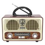 Remote Control Portable Bluetooth Radio With 1200mhA Lithium Battery