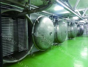 PLC Control System Vacuum Drying Machine Round Fruit Chemical Freeze Dryer