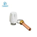 m28 Remote Sensing Trv Head Temperature Controller Spiral Immersion Sensor