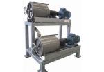 Compact Structure Mango Processing Line Paste Processing Line Plant