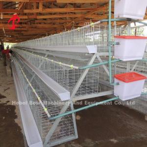 120 Birds 200 Birds Capacity Poultry Battery Cage System For Layers Broilers Chicks Star