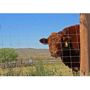 Buy cheap 5 6 7 8ft Knot Field Fence product